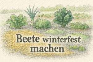 Gemüsebeete winterfest machen Mit Mulchen, Gründüngung und Kompost den Boden schützen und optimal ins Frühjahr starten.